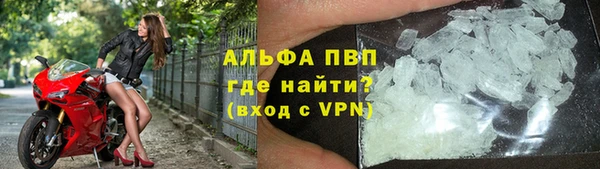 стафф Алексин