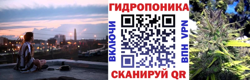 darknet телеграм Алзамай Каннабис план
